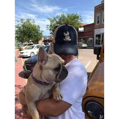 French Bulldog Trucker Hat