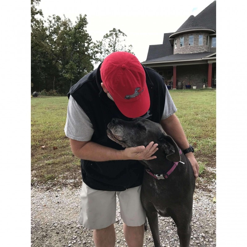 Great Dane Hat